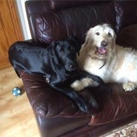 Maria Selby - Quora Profile Picture of Maria Selby (@maria-selby-1) on Quora