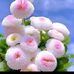 Profile Picture of Peter Bindas (@peter.bindas.9) on Facebook