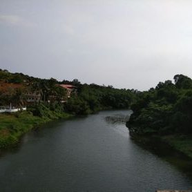 Profile Picture of Subin David (@SubinDavid1) on Twitter