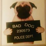 Profile Picture of Robin Bruno (@robinbruno04) on Instagram