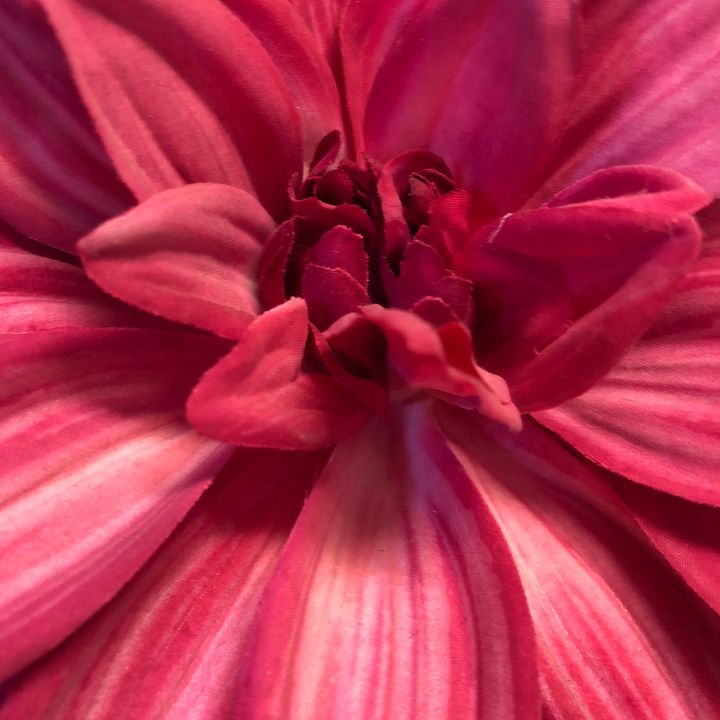 Profile Picture of Joyce🫶🏼 (@joycedelorme) on Tiktok