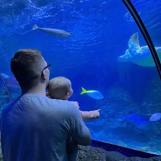 Profile Picture of Lawrence Mitchell (@_jamesmitchell) on Instagram