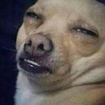 Profile Picture of Kyle Gormley (@d2euca) on Instagram