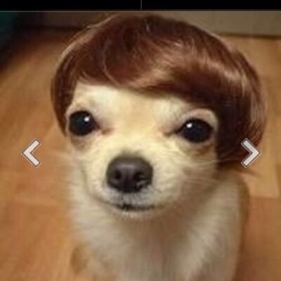 Kyle Bilton - Twitter Profile Picture of Kyle Bilton (@kylebilton) on Twitter