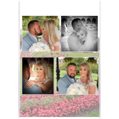 Profile Picture of Danielle Murphy (@DaniGal22) on Twitter