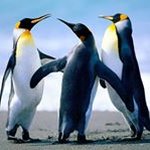 Profile Picture of Joseph Pavlicek (@josephpavlicek) on Instagram