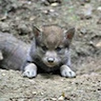 Profile Picture of Richard Proffitt (@richard-proffitt-14) on Quora