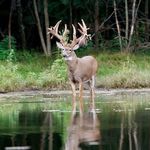 Profile Picture of codyalvarado2023 (@codyalvarado2023) on Instagram