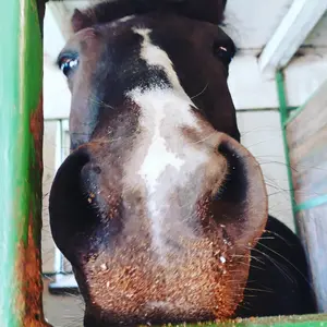 Profile Picture of Xdddddlskkk (@pudotuskisat_ja_kaikkee) on Tiktok