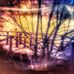 Profile Picture of Shawn Everitt (@shawn.everitt.3557) on Facebook