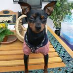 Profile Picture of Brutus Espain (@brutus.espain) on Facebook