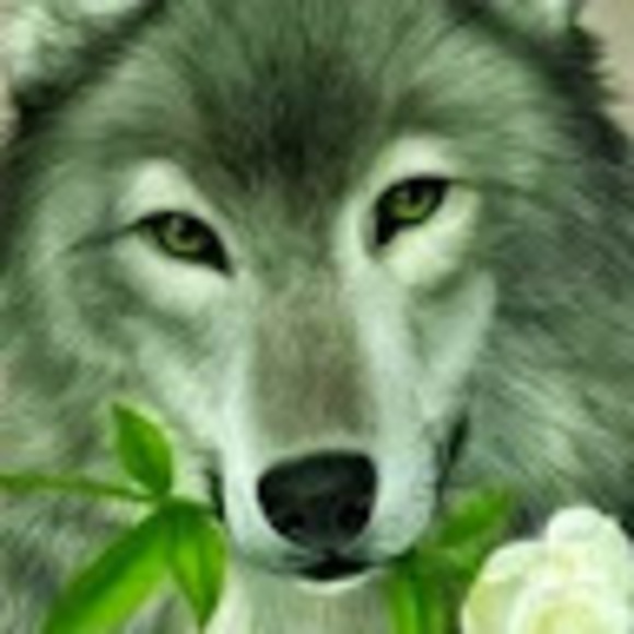 Profile Picture of Nicole Butters (@hnbutters) on Poshmark