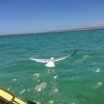 Profile Picture of Kyle Fozzy Foster (@garage_guru_kyle) on Instagram