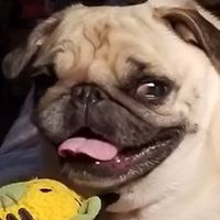 Profile Picture of Mark Traxler (@mark-traxler) on Quora