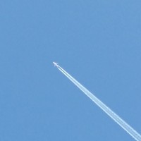 Profile Picture of Reza Mazandarani (@reza-mazandarani) on Quora