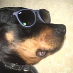 Profile Picture of Cindy Render (@cindyreincarnated) on Instagram