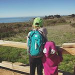 Profile Picture of Jodi Seifert (@jodiseifert) on Instagram