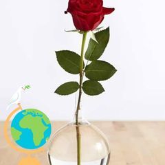 Profile Picture of vickiedaddah (@vickiedaddah) on Tiktok