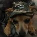 Profile Picture of Kip Mosher (@kip.mosher) on Facebook