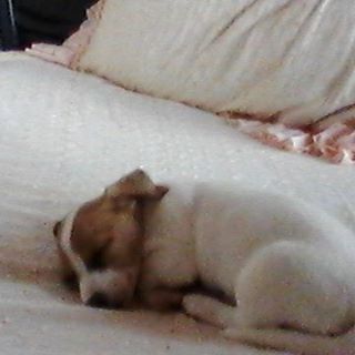 Profile Picture of Manuela Arroyave (@manuela.arroyave.754) on Facebook