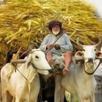 Profile Picture of Jaswinder Dosanjh (@jaswinder.dosanjh.750) on Facebook