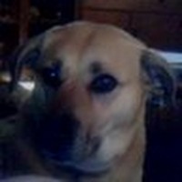 Sean Hatcher - Quora Profile Picture of Sean Hatcher (@sean-hatcher-3) on Quora