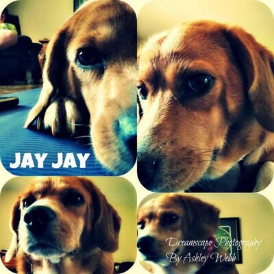 Profile Picture of Donna Huff (@DonnaHuff9) on Twitter