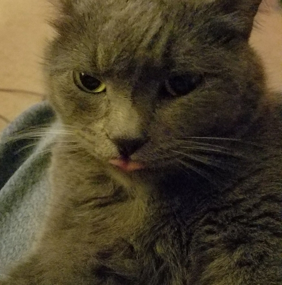 Profile Picture of Michelle Scott (@mrlscott) on Poshmark