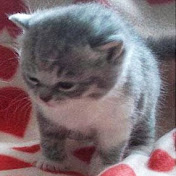 Profile Picture of Miahil Arizanov (@miahilarizanov2526) on Youtube