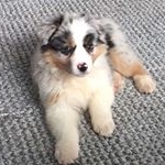 Profile Picture of CeCe Lou Couch (@cecetheaussie) on Instagram