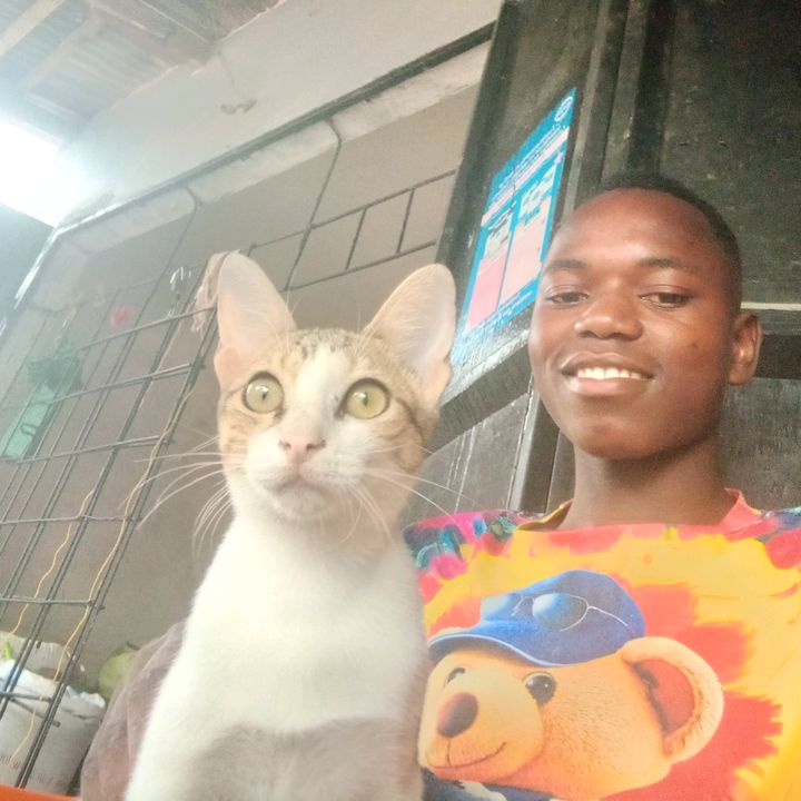 Profile Picture of Laurent Joseph (@laurent.joseph3) on Tiktok