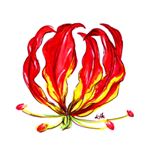 Profile Picture of Thusiyan Nandakumar (@thusiyan) on Instagram