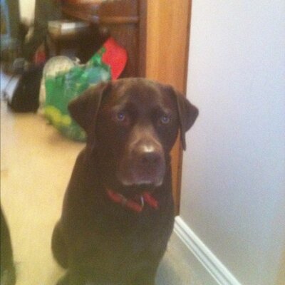 Profile Picture of Gary Stuckey (@stuckey_g) on Twitter