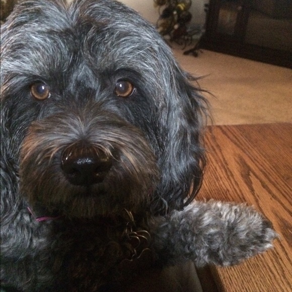 Profile Picture of Julie Redecker (@powerswitch) on Poshmark