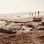 Profile Picture of Adam Teague (@adamthomasteague) on Instagram