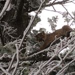 Profile Picture of Brad Quinton (@bradq12) on Instagram