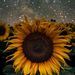 Profile Picture of Hailey Glowacki (@haileyisbombx3) on Pinterest