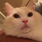 Profile Picture of Wilbert Harris (@wilberts_happy_times) on Instagram