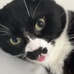 Profile Picture of Johnathan Hallstein (@johnathan.hallstein) on Facebook