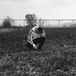 Profile Picture of Puller Márk (@markodarusso) on Instagram
