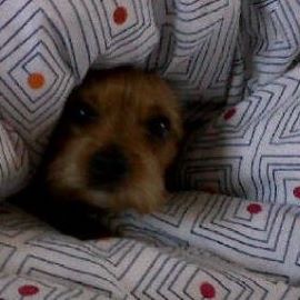 Profile Picture of Tilli James (@tilli.james) on Facebook