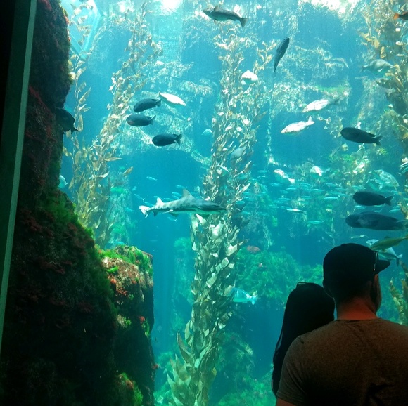 Profile Picture of Kerron Pierre (@kerronpierre) on Poshmark