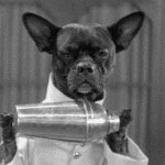 Profile Picture of Michael Rokos (@myeruckus) on Twitter