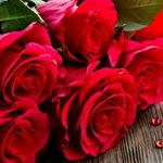 Profile Picture of phyllis sterling (@wintergirl6446) on Instagram