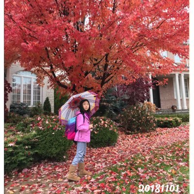 Profile Picture of Aimin Zhang (@aiminzhang74) on Twitter