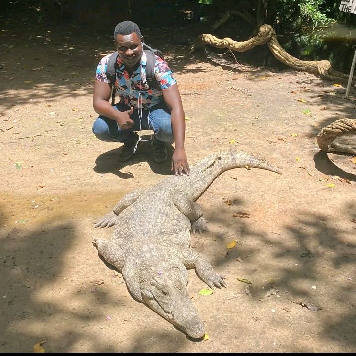 Profile Picture of Ebrima Colley (@ebrimacolley6) on Tiktok