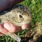 Greg Dray - Instagram Profile Picture of Greg Dray (@draygreg) on Instagram