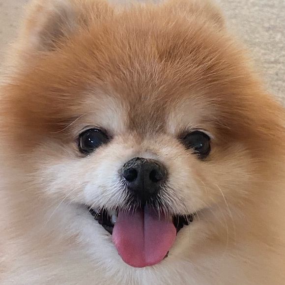 Profile Picture of Jia Lin (@66jelly) on Poshmark