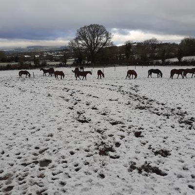 Profile Picture of Pat Fenlon (@PatFenlon3) on Twitter