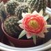 Profile Picture of June Duncan (@dandjduncan) on Pinterest
